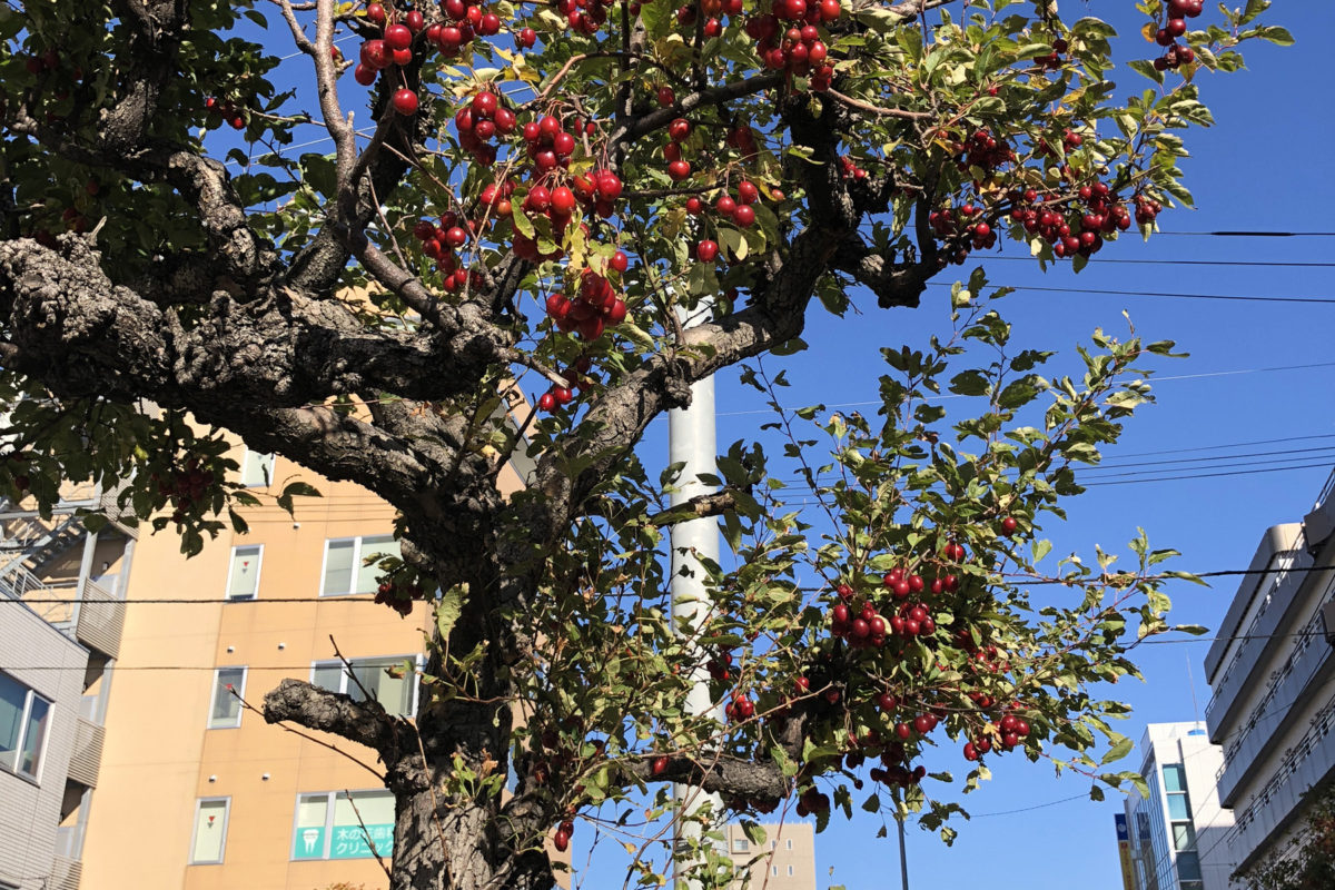 09:49 平岸街道