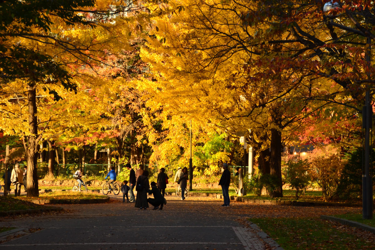 15:48 中島公園