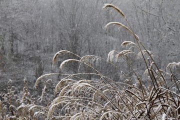 私の［無為］時間