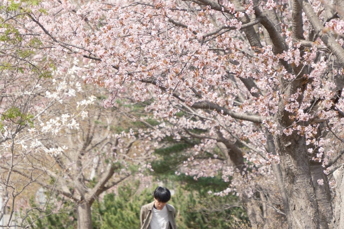 最後の推し